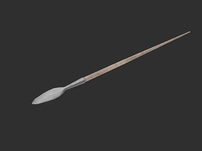Traditional Weapon With Long Wooden Shaft And Metal Spearhead Design 3d model