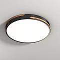 Modern Round Ceiling Lights With Various Border Styles And Decorative Details 3d model