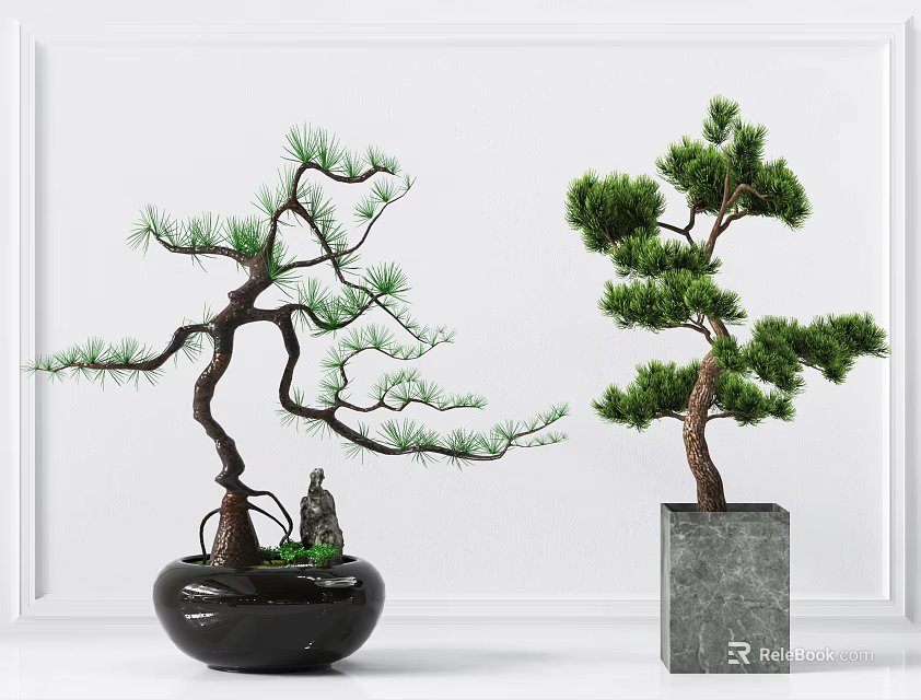 Decorative Bonsai Trees With Curved And Straight Trunks In Black Ceramic And Gray Stone Planters 3d model 