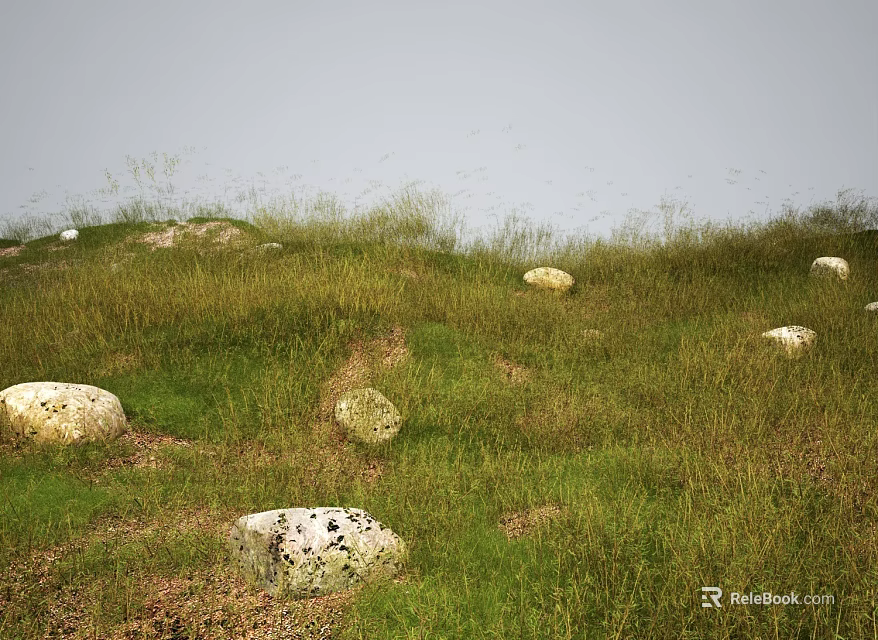 Vibrant Meadow With Lush Green Grass Colorful Flowers And Scattered Stones 3d model 