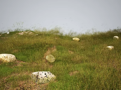 Vibrant Meadow With Lush Green Grass Colorful Flowers And Scattered Stones 3d model