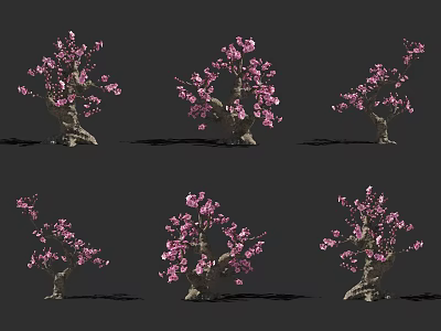 Beautiful Ornamental Flowering Trees With Pink Blossoms And Artistic Trunks 3d model