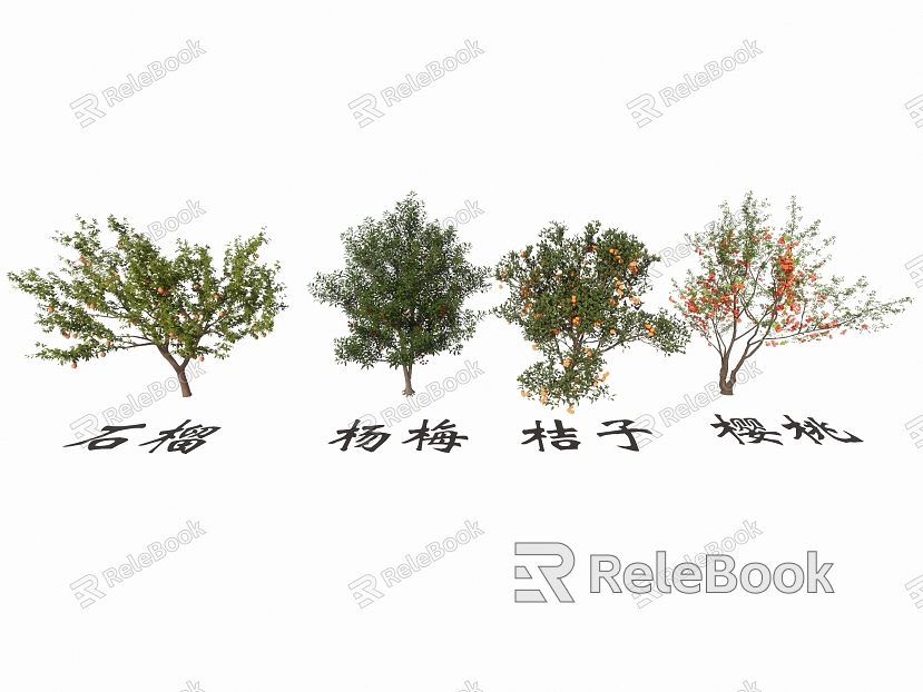 Fruit Tree Pomegranate Tree Bayberry Tree Orange Tree Cherry Tree model