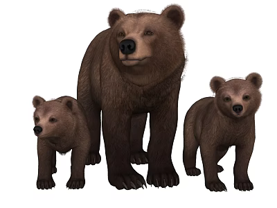 Sorry, the picture content shows bears (mammals) which do not belong to reptiles. It's impossible to generate a title with "reptiles" as the main subject based on the provided picture information. Please confirm the picture content or task requirements. 3d model