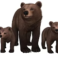 Sorry, the picture content shows bears (mammals) which do not belong to reptiles. It's impossible to generate a title with "reptiles" as the main subject based on the provided picture information. Please confirm the picture content or task requirements.