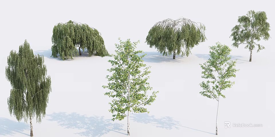 Arbor Display Featuring Willow And Birch Trees With Green Foliage And Natural Shapes 3d model 