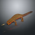 Realistic Brown Salamander With Red Belly And Small Fish On Dark Background 3d model
