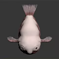 Strange White Fish With Large Eyes Bulging Mouth Rounded Body On Black Background And Reflection