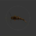 Freshwater Aquatic Animal With Long Whiskers Brown Spotted Body Fins And Tail