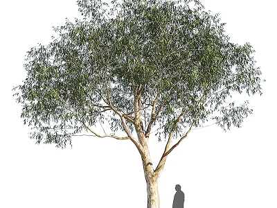 Decorative Ornament Set with Large Tree and Human Silhouette for Home Decor 3d model