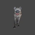 Realistic Spotted Hyena 3D Model With Open Mouth Walking Pose 3d model