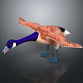 Realistic 3D Duck Model With Spread Brown Wings Blue Neck And Blue Feet