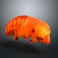 Orange Shiny Creature like 3D Model With Segmented Body Floating On Dark Background 3d model