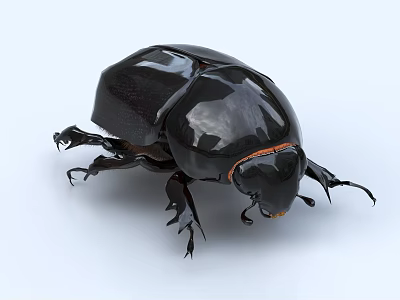 Shiny Black Motorcycle With Sleek Exterior Design And Glossy Finish On White 3d model