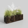 Bonsai Potted Plant In Rectangular Brown Planter With Green Grass And White Feathery Foliage