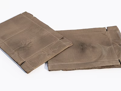 Two Brown Paper Bags With Folded Edges For Packaging Solutions 3d model