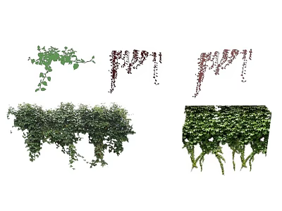 climbing vine plant 3d model