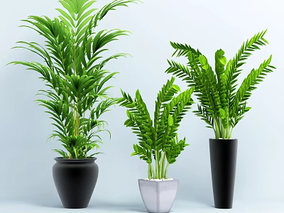 Lush Green Potted Plants with Lush Leaves Different Sizes and Colored Pots in Light Background 3d model