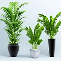 Lush Green Potted Plants with Lush Leaves Different Sizes and Colored Pots in Light Background