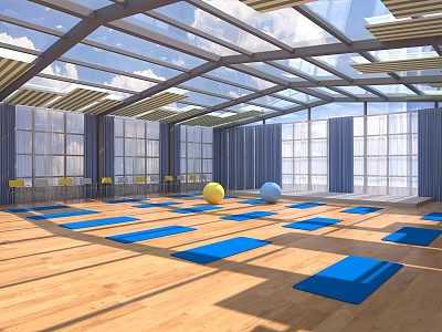 Spacious Yoga Studio with Glass Roof Large Windows Wooden Floor Blue Mats and Exercise Balls 3d model