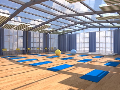 Modern Yoga Room 3d model