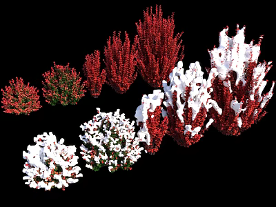 Colorful Arbor Trees With Red Green Foliage And Snow Covered Branches In Various Forms 3d model