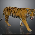 3D Rendered Tiger with Orange Fur Black Stripes Open Mouth on Black Background Ground Reflection