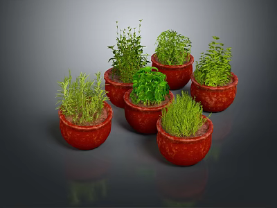 Assorted Green Plants in Red Ceramic Pots With Lush Fresh Leaves 3d model