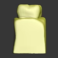 Tooth Anatomy Model Showing Internal Structure With Enamel Dentin And Pulp