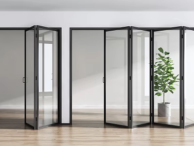 Modern Interior Folding Doors With Glass Panels Black Frames Green Plant And Wooden Floor 3d model
