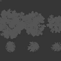 Different Tree Varieties with Various Foliage Isolated on Black Background for Design Projects 3d model