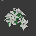 Beautiful White Blooming Flowers With Fresh Green Leaves In Lush Arrangement