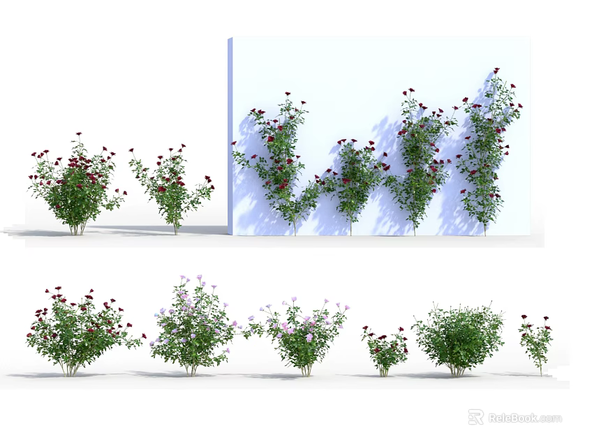 Various Flowering Shrub Varieties with Different Sizes on White Background 3d model 