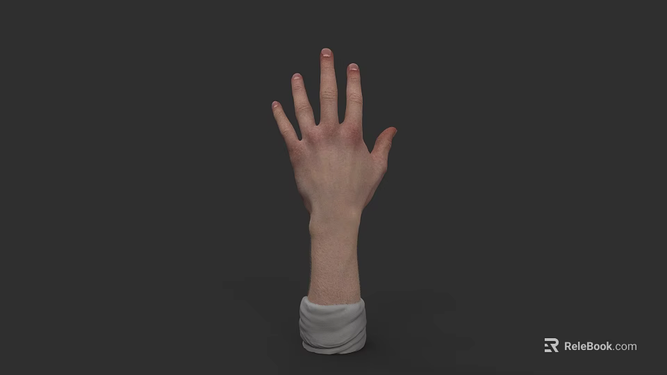 Realistic Human Hand with Wrist in White Cuff Against Black Background 3d model 