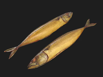 Two Dried Fish as Aquatic Animals with Golden Brown Color on Black Background 3d model