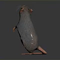 Cartoon Mouse Animated Mouse Grey Mouse Anime Mouse Cartoon Character 3d model