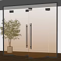 Modern Frosted Glass Door With Black Handles And Potted Plant On Wooden Floor