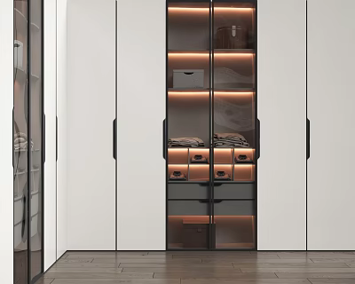 Modern Wardrobe Design With Glass Doors LED Lighting And Storage Drawers 3d model