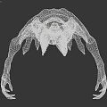 Alien Creature Character Featuring Elongated Limbs Textured Skin And Unique Head Design