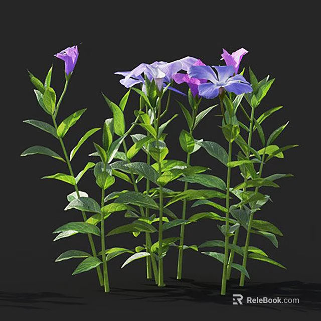 Vibrant Purple And Pink Flowers With Fresh Green Leaves And Upright Stems 3d model 