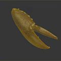 Red Lobster Claw With White Spots Isolated On Gray Background Showing Reflection 3d model