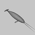 Realistic 3D Model of Narwhal With Long Tusk and Black White Skin