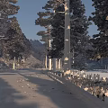 Scenic Winding Forest Road Through Tall Pine Trees And Green Hills Under Bright Blue Sky