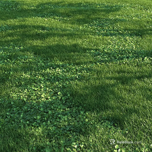 Lush Green Ground Cover With Dense Foliage And Natural Sunlight Patterns 3d model 