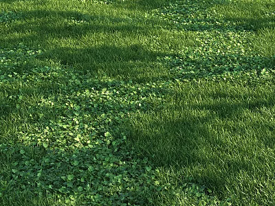 Lush Green Ground Cover With Dense Foliage And Natural Sunlight Patterns 3d model