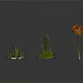 Modern Scene Plant Decoration Featuring Brown Flowers Green Grasses Water Lily Leaves And Purple Blooms