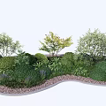 Lush Green Shrubs In Garden Landscape With Mixed Plants And Curved Pebble Edges