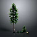 Cartoon Scene With Tall And Small Pine Trees Little People Green Grass And Yellow Flowers