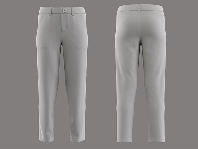 Gray Casual Pants Front And Back View With Straight Fit Design 3d model
