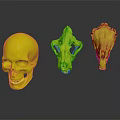 Colorful Anatomical Skull Organ Models With Hair Details On Black Reflective Background